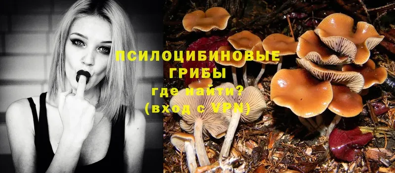 Галлюциногенные грибы Magic Shrooms  кракен ТОР  Ветлуга 